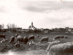 Ortsansichten