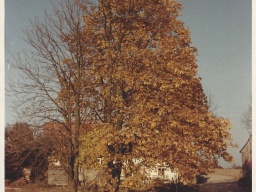 Ortsansichten