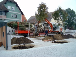 Rathausplatz1980